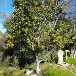 Archontou Сasa de vacaciones Agios Georgios Pagon