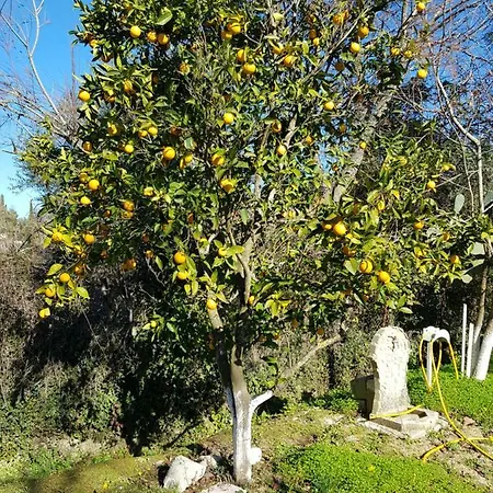 Archontou Ferienhaus Agios Georgios Pagon