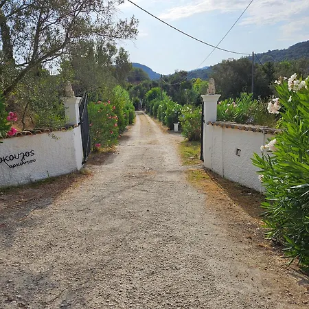 Nyaraló Archontou *