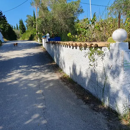 Nyaraló Archontou *