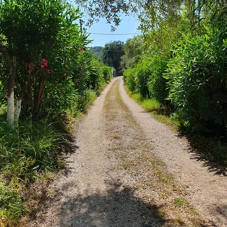 Archontou * Άγιος Γεώργιος Πάγων