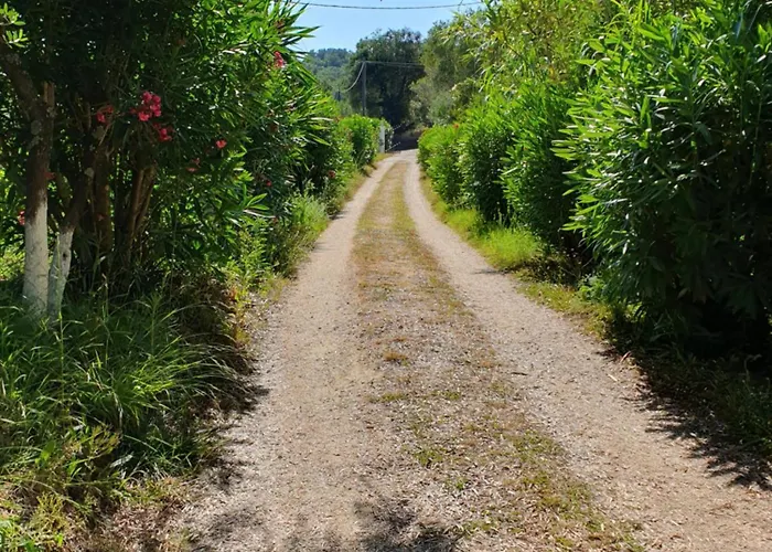 Archontou * Agios Georgios Pagon